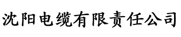 91香蕉下载污电缆厂logo